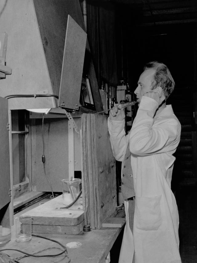 Joseph G. Hamilton with radiosodium experiment at Berkeley