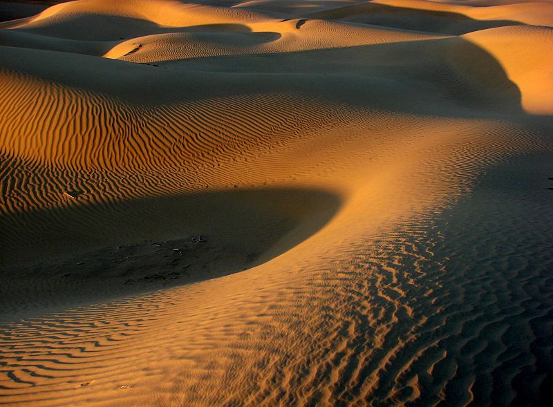 The Thar Desert in Rajasthan, the location of the Pokhran Nuclear Test Range. Courtesy of Wikimedia Commons/Sankara Subramanian